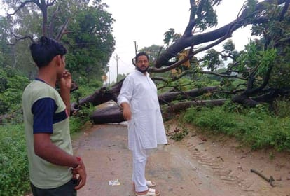 Thousands of houses are losing electricity due to fault