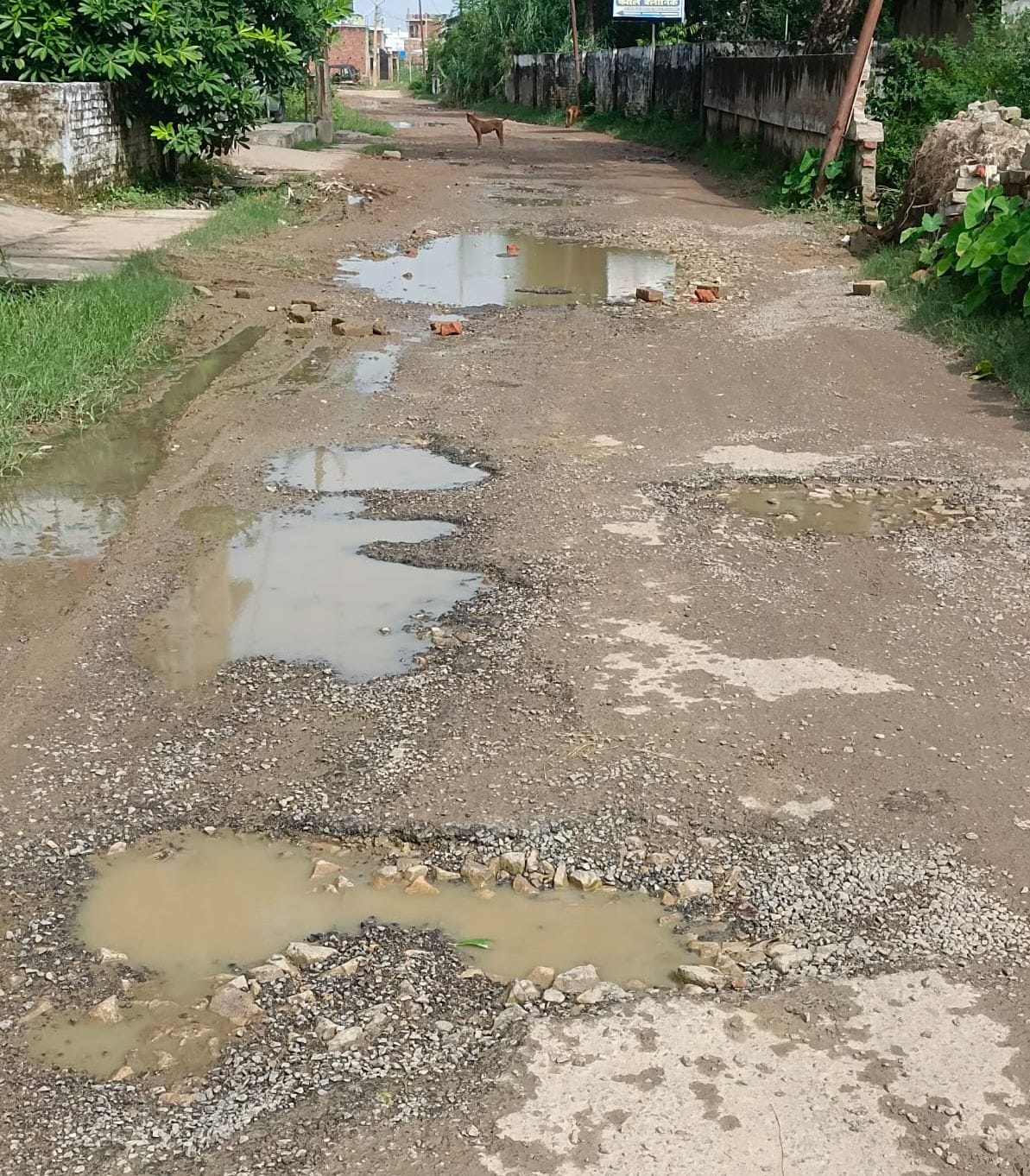 E-rickshaw drivers hesitate to go to Shastri Nagar ward