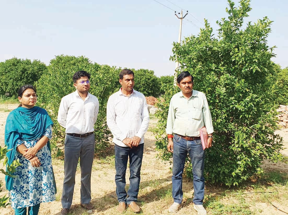 National Horticulture Board gave three star rating to Varnika Sahu Fruit Nursery Gigorani, farmers will get subsidy on purchasing saplings.