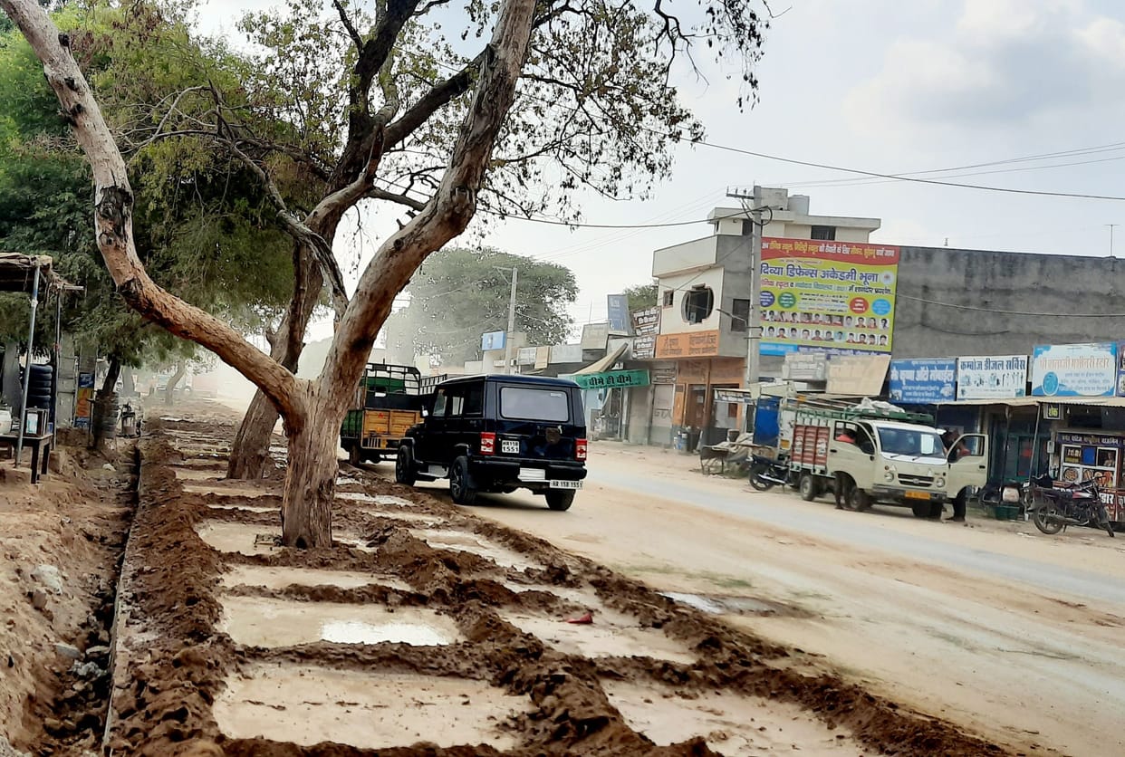 Road built without cutting trees to avoid fine