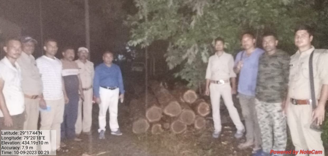 Two Tree Cut By Tuskars