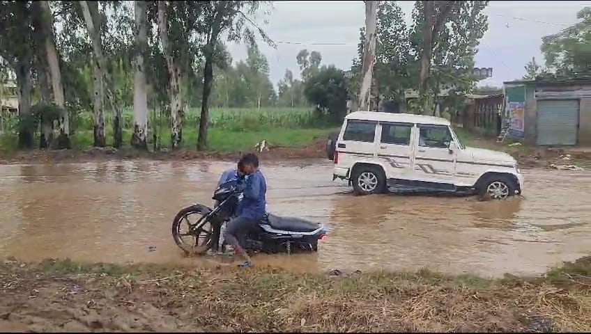 Temperature dropped by six degrees Celsius due to rain