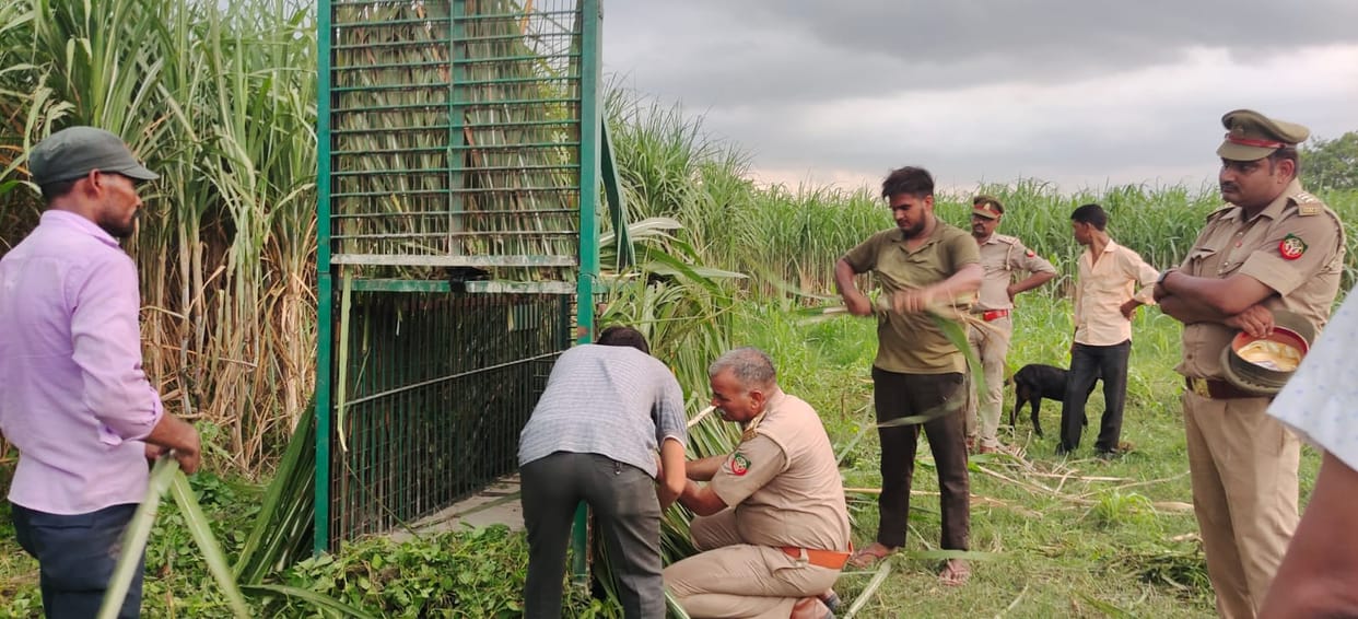 Forest department will take help of experts to catch leopard