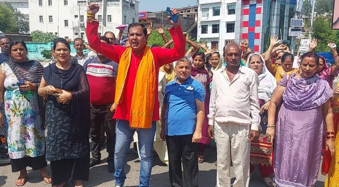 smart meter, protest, hari singh park