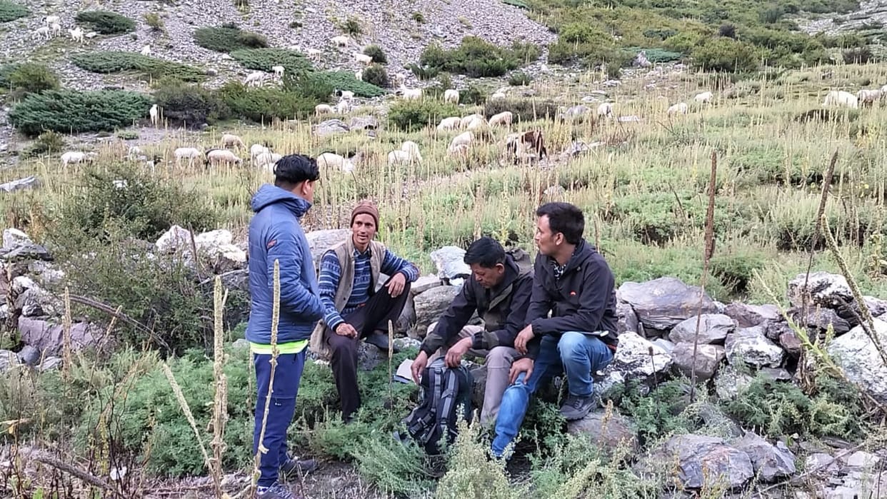 Animals treated in high Himalayan villages