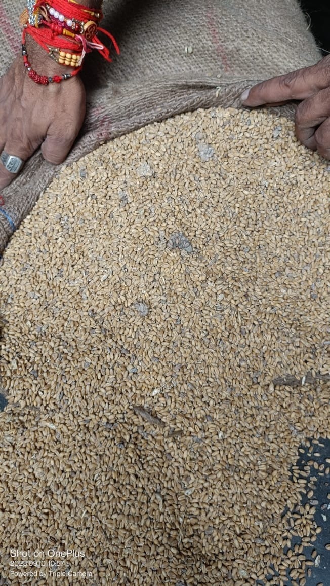 Nainital News: 1.25 lakh families did not get ration for April in haldwani