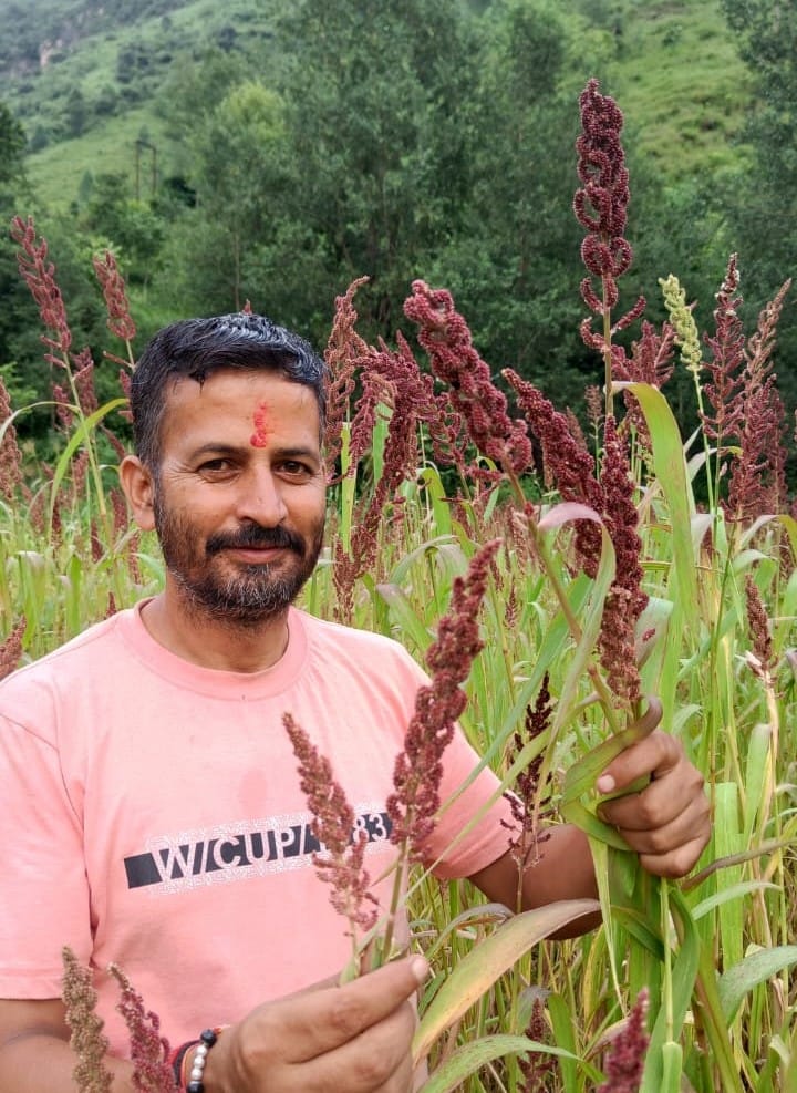 Will buy Maduwa, Jhingora from farmers
