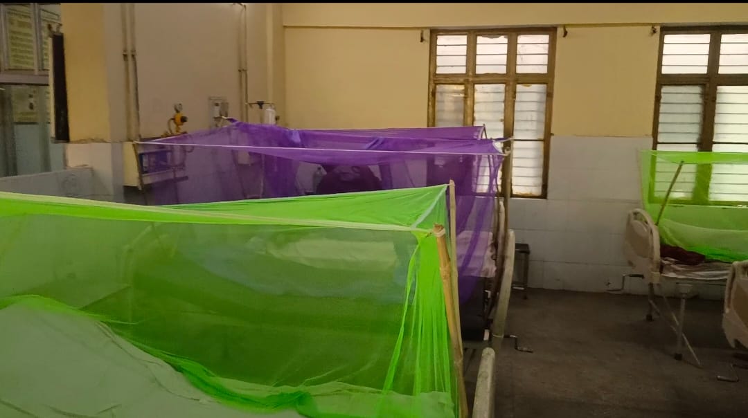 dengue patients found