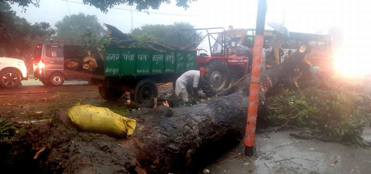 Tree fell in Kachla, hundreds of vehicles stranded on Bareilly-Mathura highway