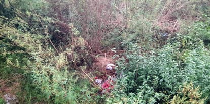 Newborn baby wrapped in a sack and thrown into the bushes, kept getting wet in the rain, died