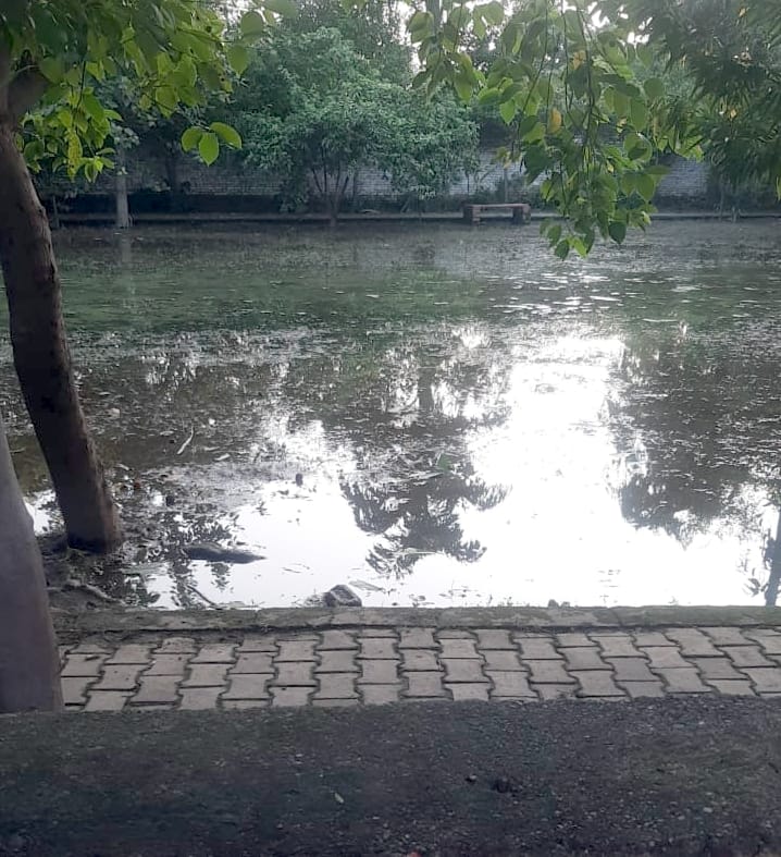 This colony is posh, there are potholes in the roads, development is drowned in drains.