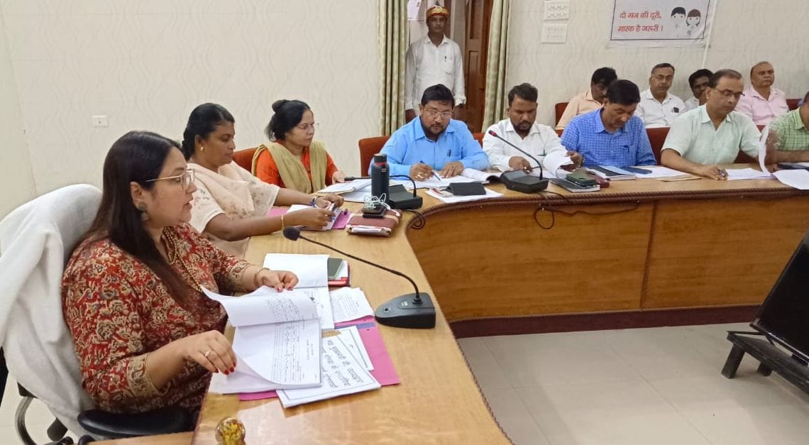 Take action against land mafia: DM