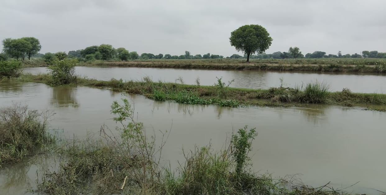 Karwan river water entered the fields, causing damage to crops.