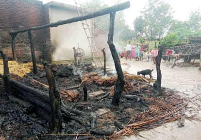 Fire breaks out in cattle shed, one bull burnt alive