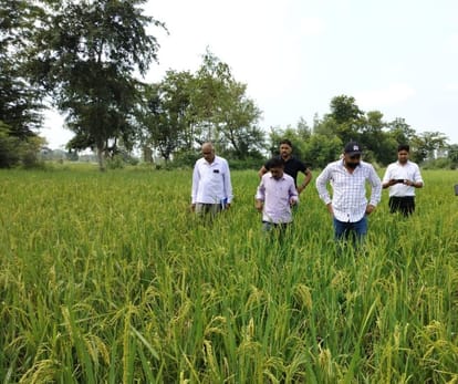 Farmers of Amriya region will get the benefit of Prime Minister Crop Insurance