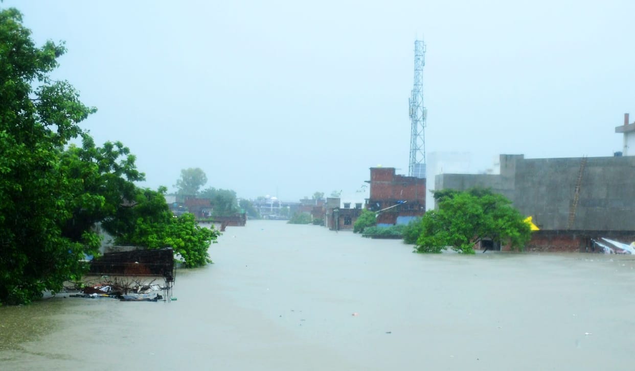 No trace of green belt, 500 concrete constructions on the drain