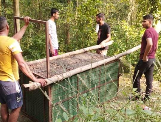 Leopard terror in Karot Panchayat of Sujanpur