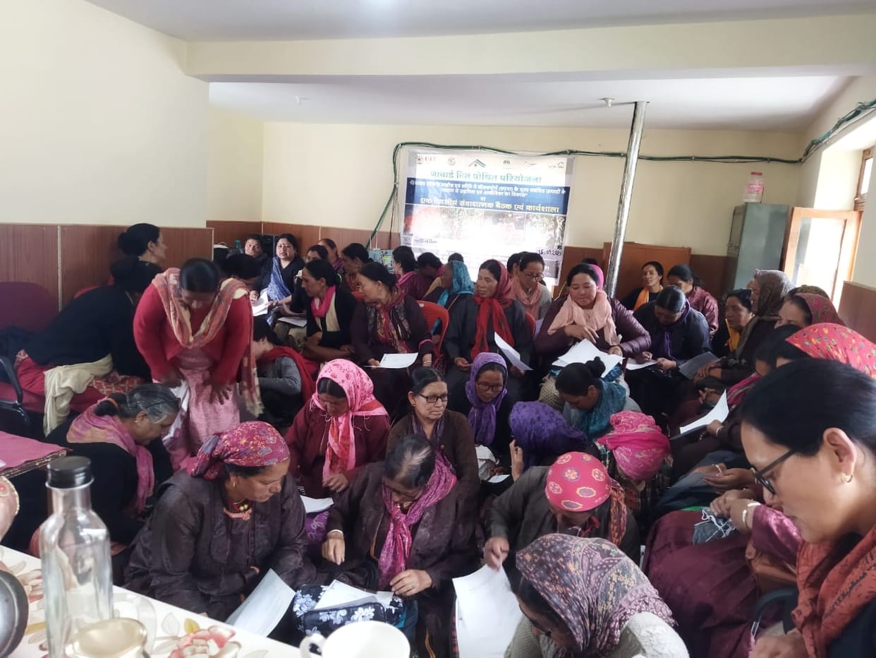 Women should strengthen economy with seabuckthorn: Shashani