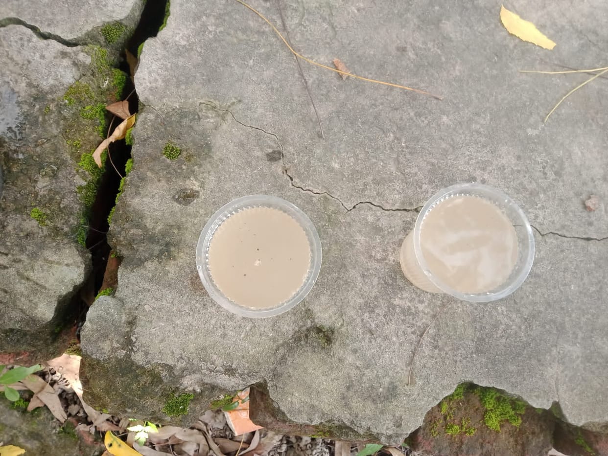 Dirty water coming from government tap, students are forced to drink it