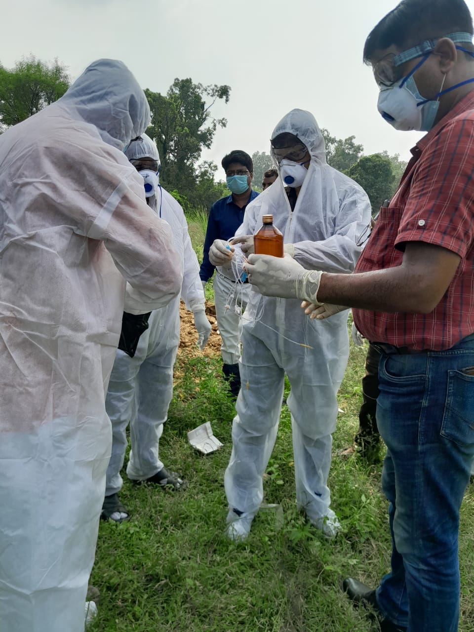 Glanders confirmed in mare, put to death by injection
