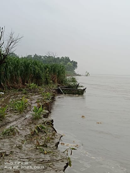 Crops get submerged in Sharda river, farmers forced to work as laborers