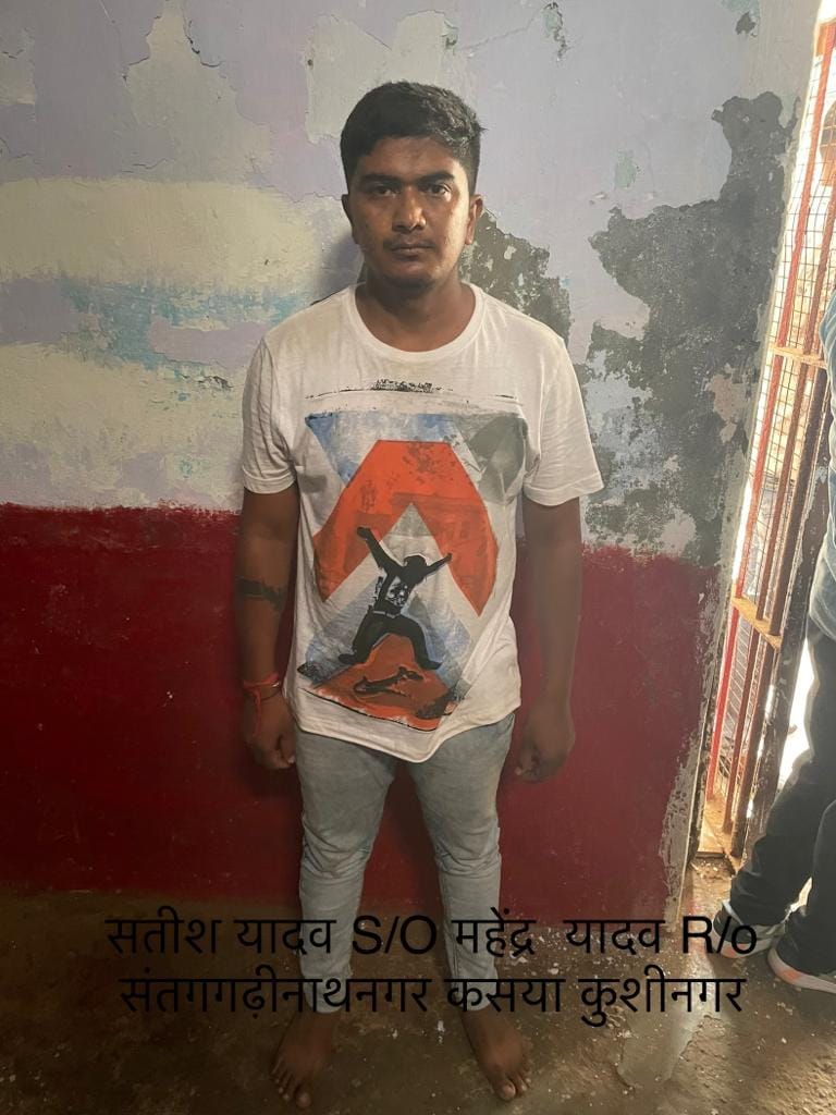 Before being arrested he knocked down the policeman and ran away... even threw bricks and stones at him.