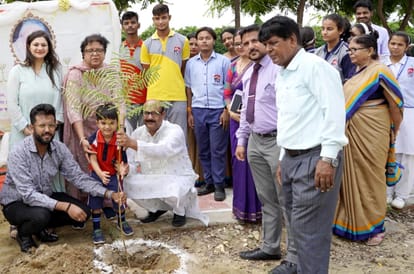 Planted medicinal plants, resolved to protect the environment