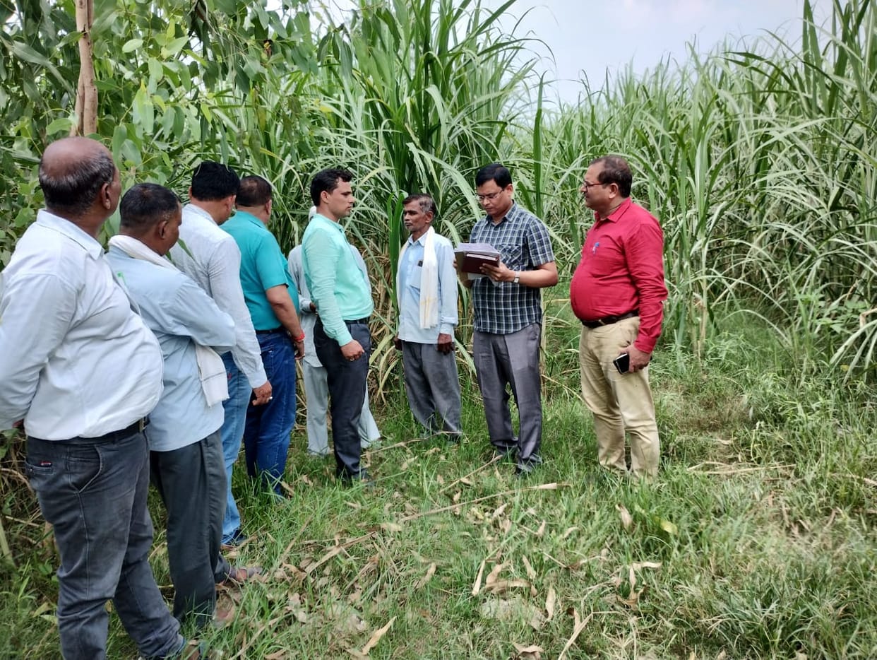 Allocation of 2992 quintals of sugarcane seeds to the district