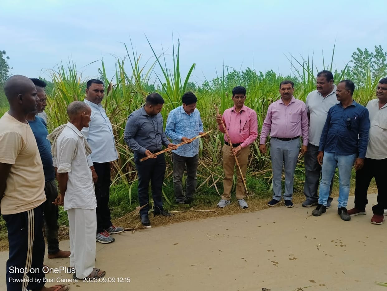 Redrot outbreak increased in sugarcane crop in the district