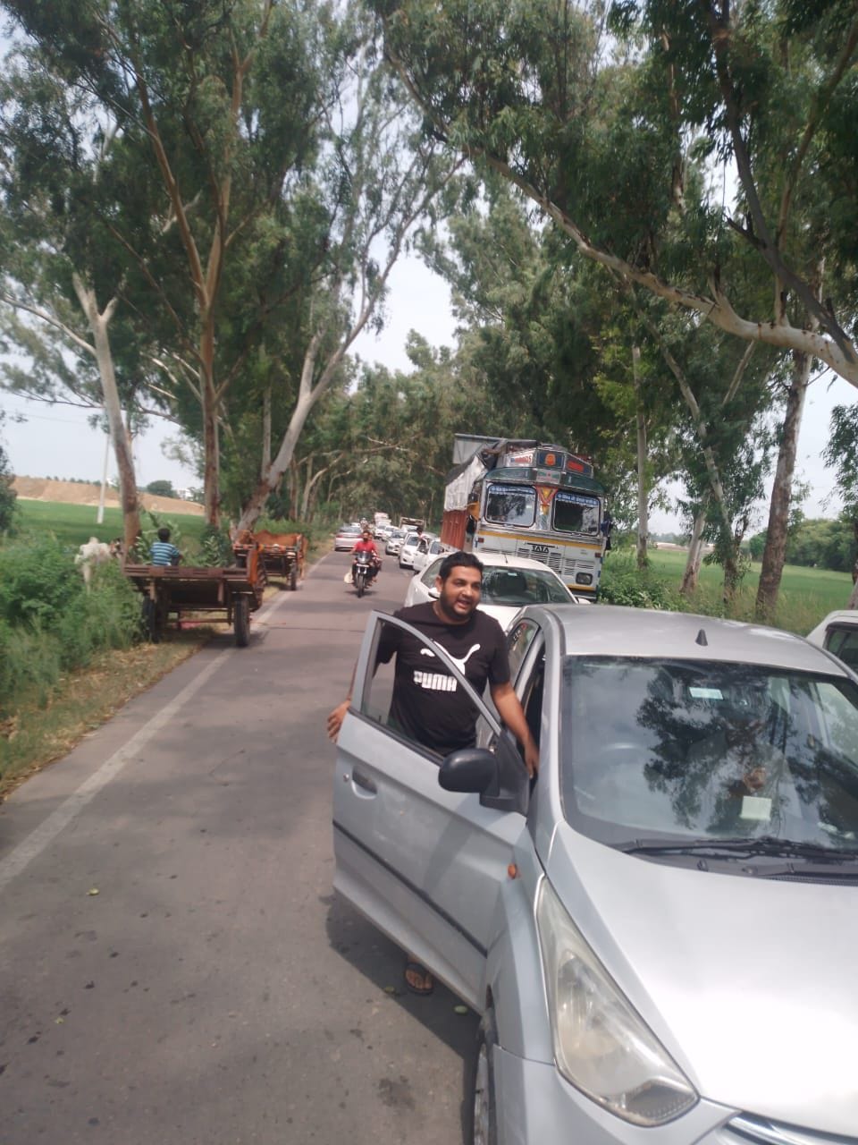 Trees fell on the road during harvesting, caused jam