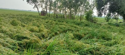 Roads become muddy due to rain in rural areas