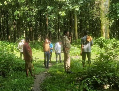 Tiger reached near primary school Duda Colony