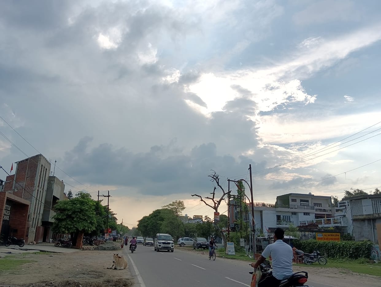 After the rain, the strong sunshine on Monday made everyone miserable.