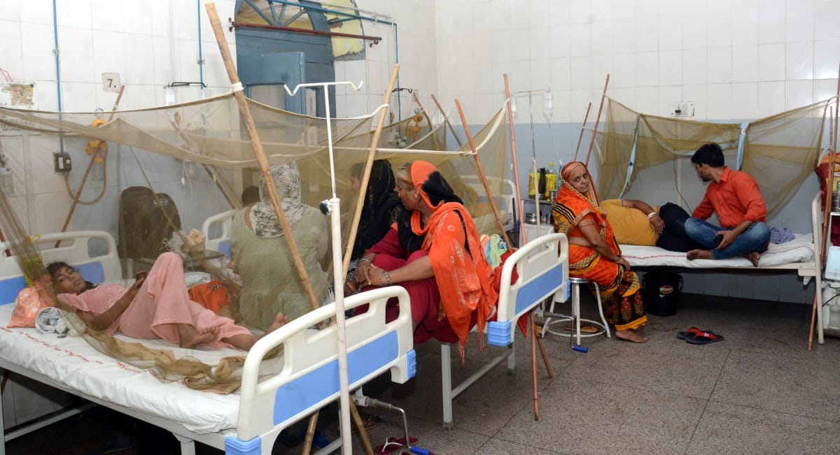 Four dengue patients found, larvae tested in Kakrauli