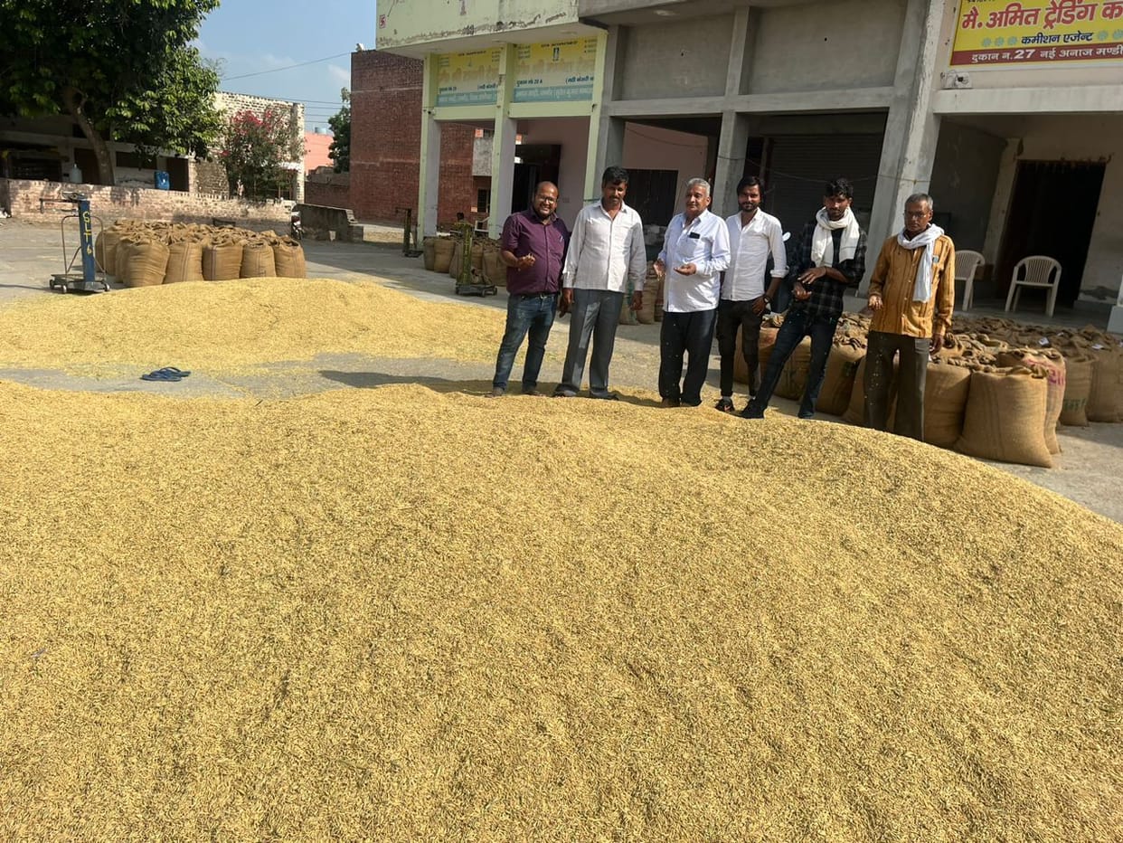 20 thousand quintals of 1509 variety paddy reached the market