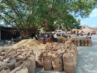 Paddy procurement: Four member team will keep an eye on shortage