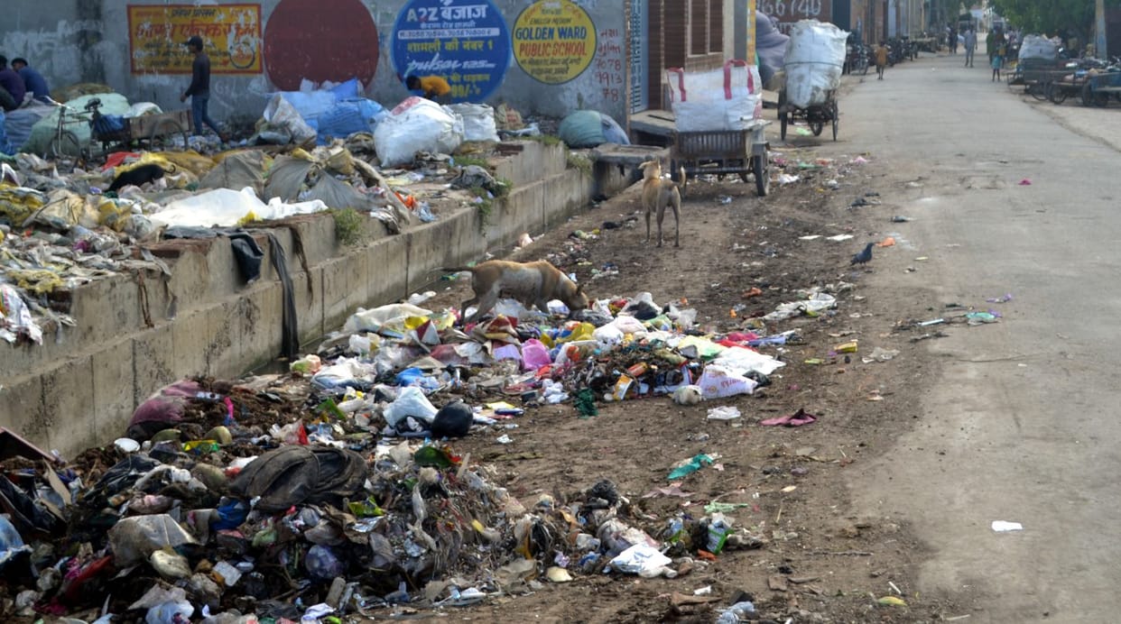 Regular cleaning is not being done in the city, garbage is spread on the roadside.
