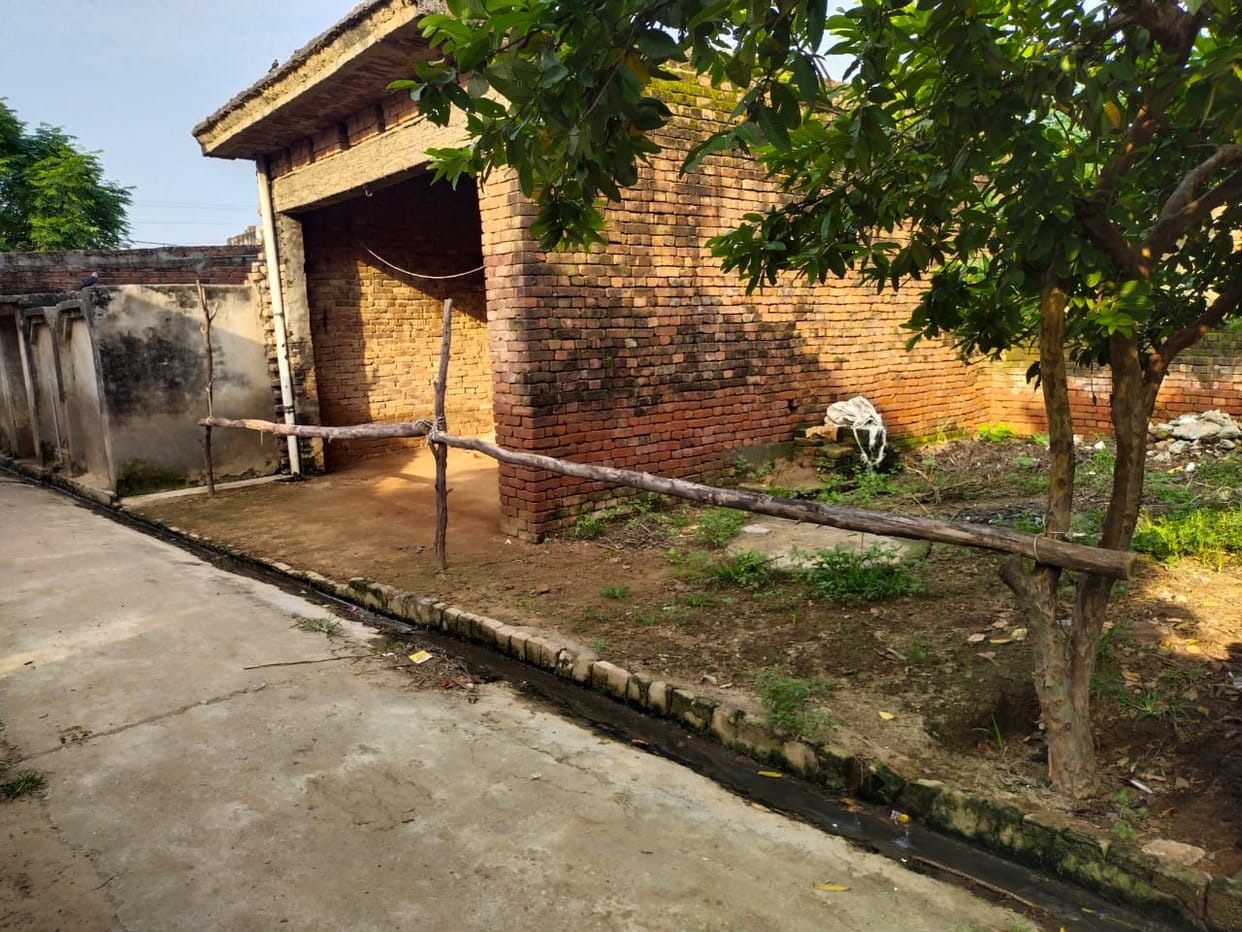 Villagers used sticks to protect themselves from the bull