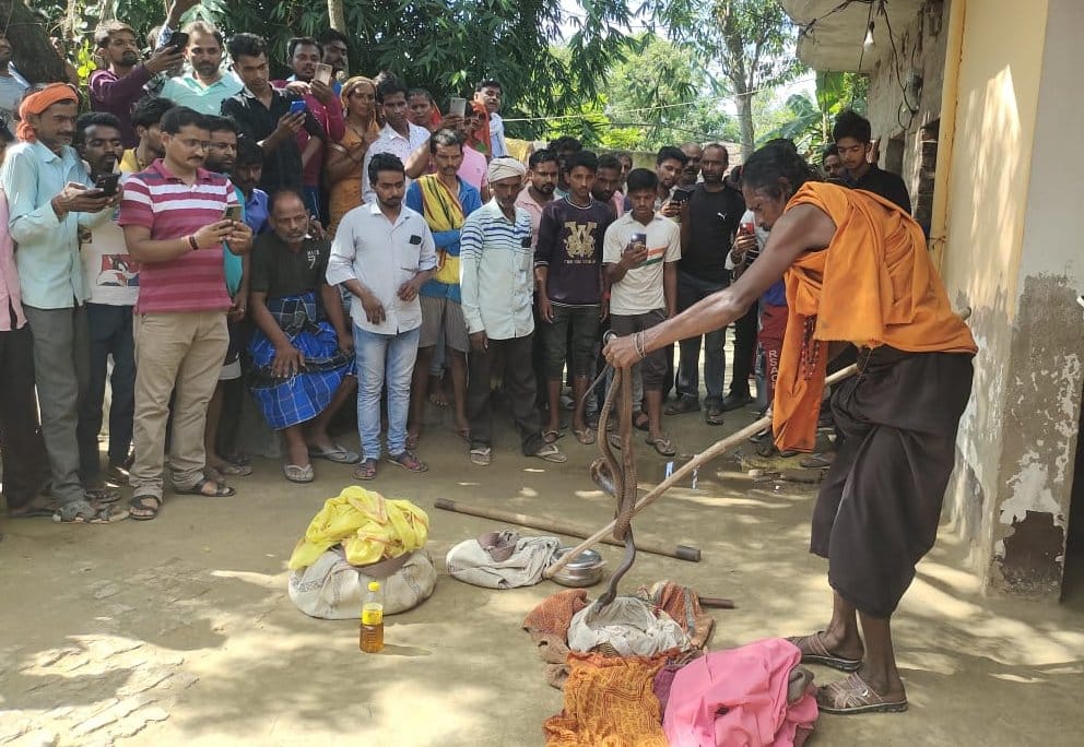 The snake charmers caught biting innocent brothers