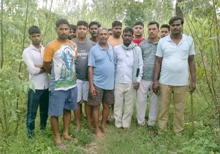 Villagers ran away after hearing the roar of the tiger, area residents in panic