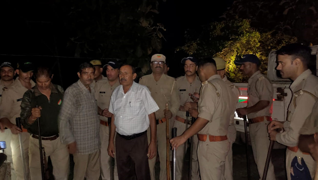 Forest department searched the forest at midnight to protect wildlife
