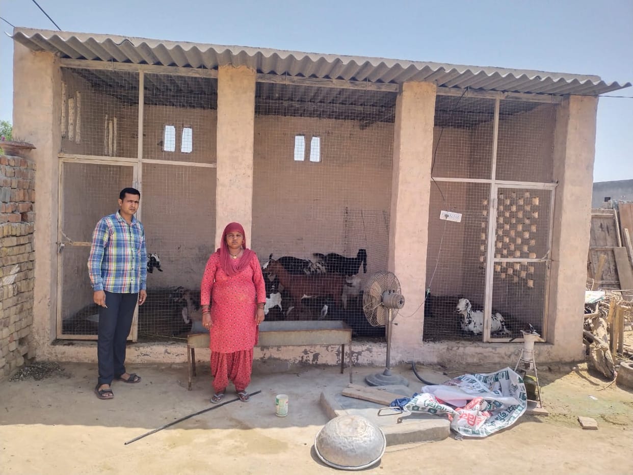 Now the women of the district will become self-reliant by rearing goats, two demo units started