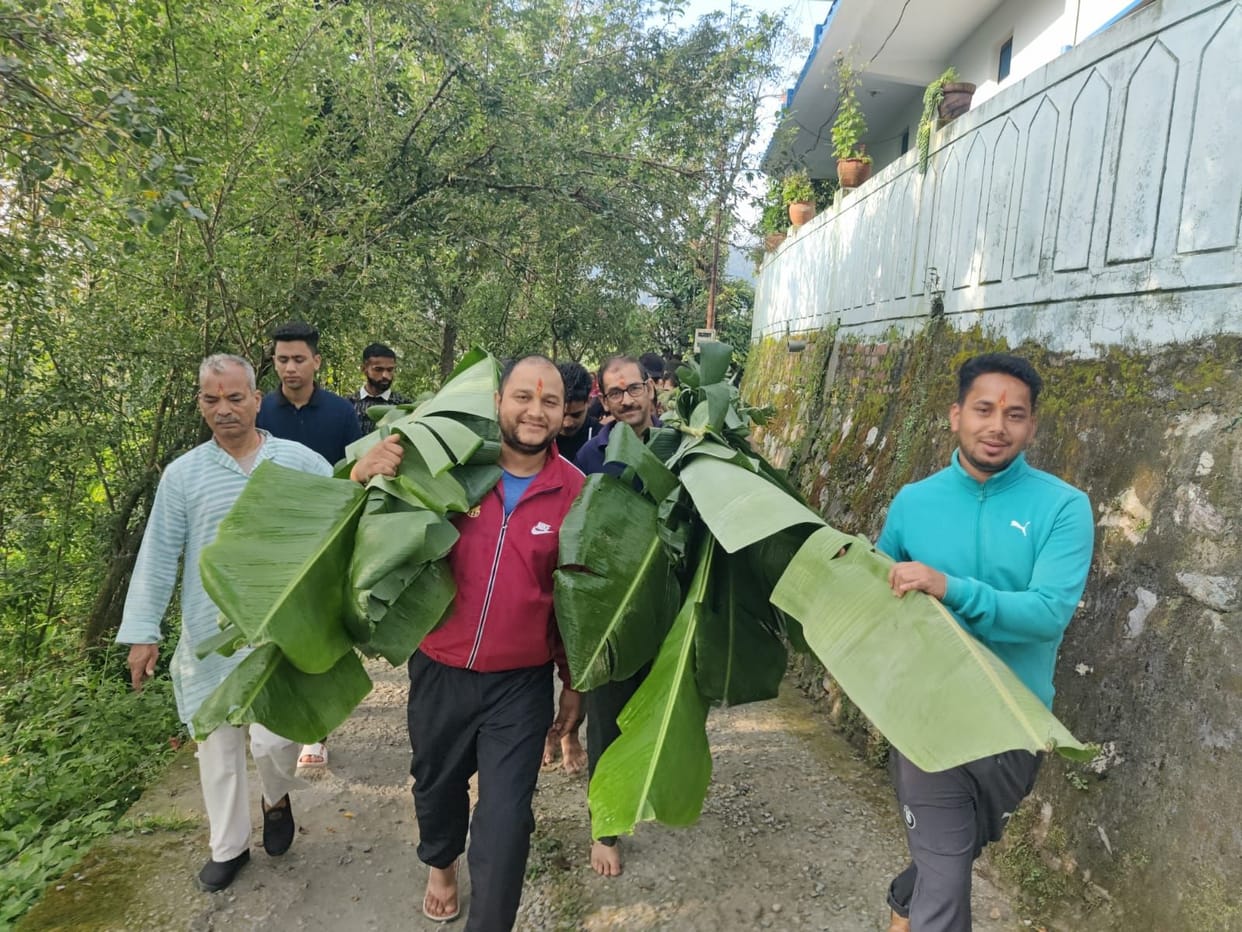 Kadli tree arrived in Nanda Sunanda Mahotsav