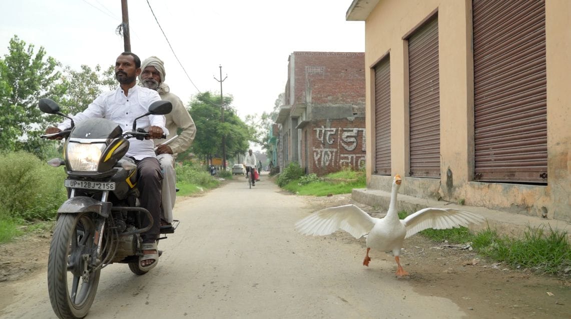 No language, Dayaram and Badal understand only love