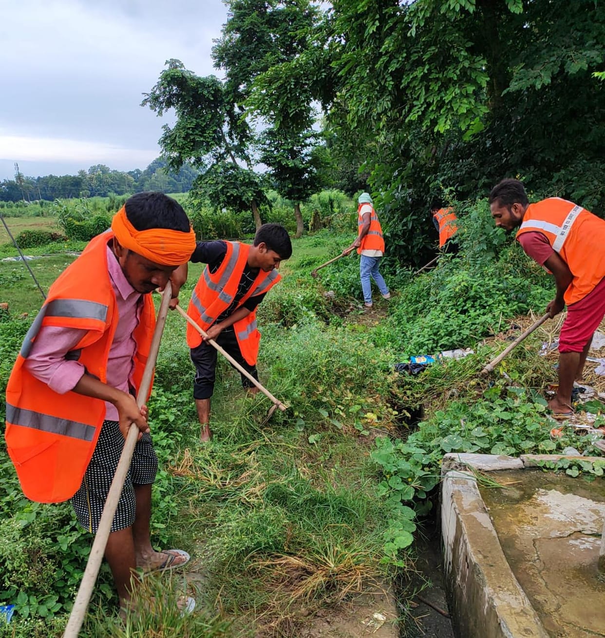 Cleaning campaign