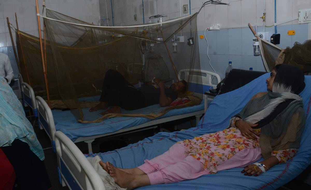 13 more sick due to dengue sting, number of patients crosses 80