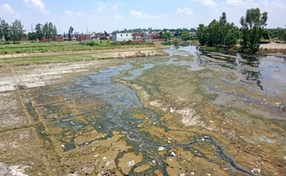 The flow of rivers is weak... survival is difficult