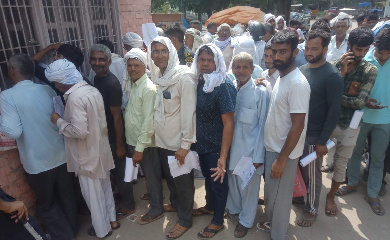 Bought 3500 quintals of millet amidst chaos
