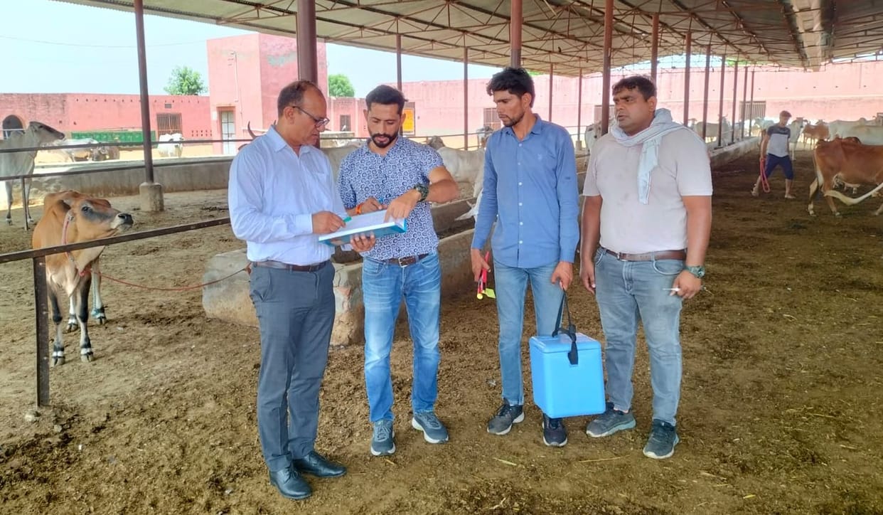 Bhiwani tops in the state in vaccination to prevent lumpy skin, foot and mouth diseases