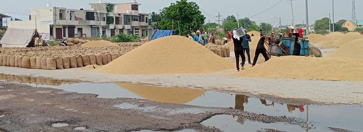 PR paddy did not reach the markets, millet was not procured by the government